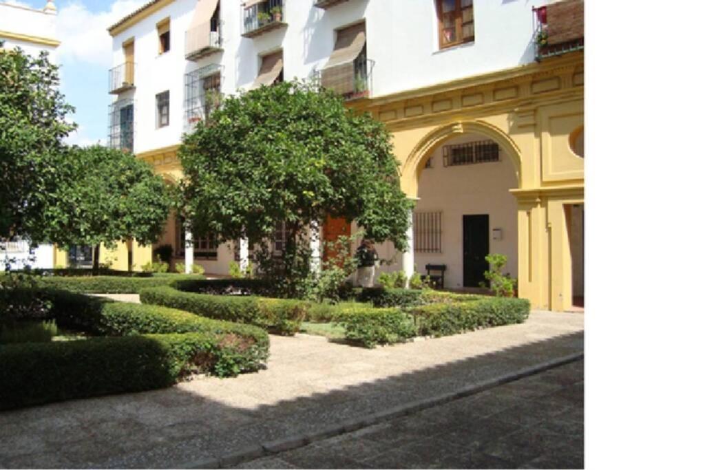 Céntrico y amplio apartamento 100% equipado Jerez de la Frontera Exterior foto